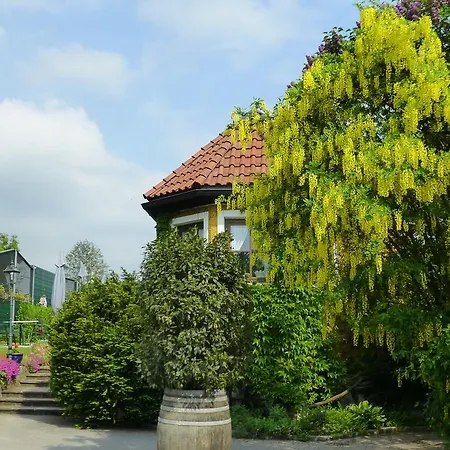 Hohlwegwirt Inn Hallein
